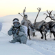 Image for article titled Russian Soldiers Go Native For Arctic Ops Using Reindeer And Dogsleds